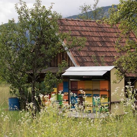 Ferienwohnung Apartma Petra Ravnik - Wanderer'S Hut Bohinj Exterior foto