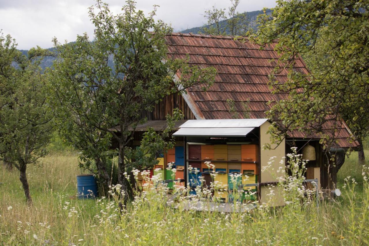 Ferienwohnung Apartma Petra Ravnik - Wanderer'S Hut Bohinj Exterior foto
